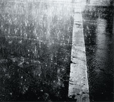 Summer Rain